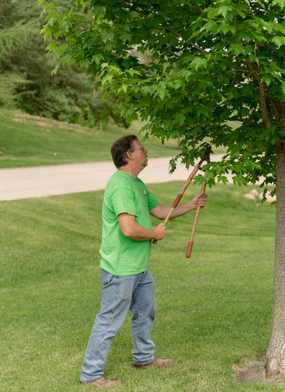 Handyman using landscaping shears to trim a tree
