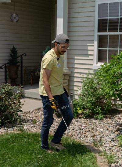 Handyman spraying lawn for weeds